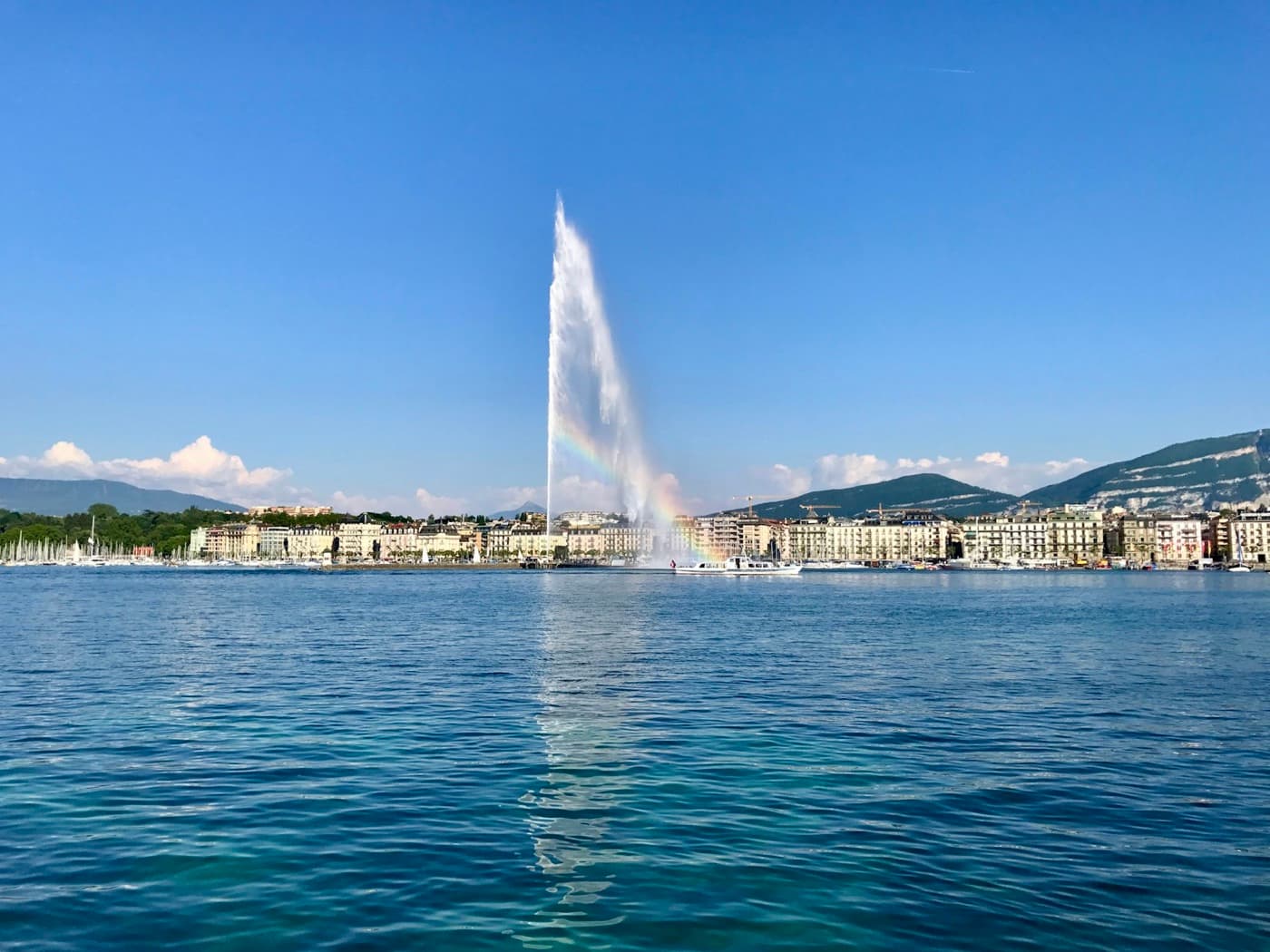 Genève · Centre-ville · Cologny · Champel